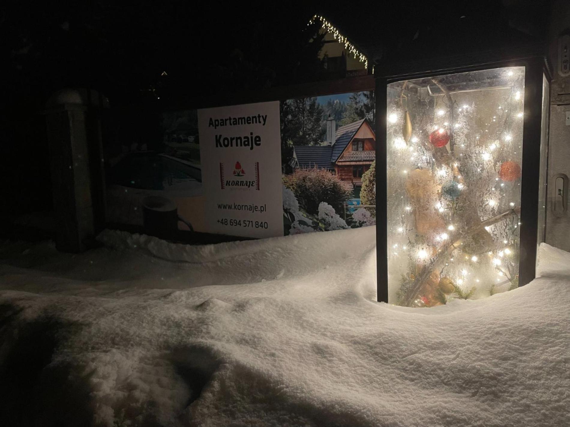 Apartamenty Kornaje シュツァブニツァ エクステリア 写真